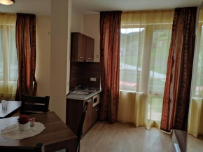 Year-round apartment 50m away from ski lift
